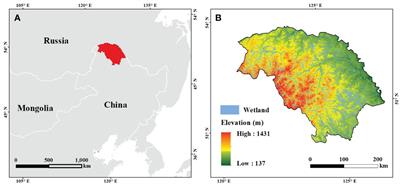 Woody encroachment induced earlier and extended growing season in boreal wetland ecosystems